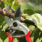 in-campo-900x686-1