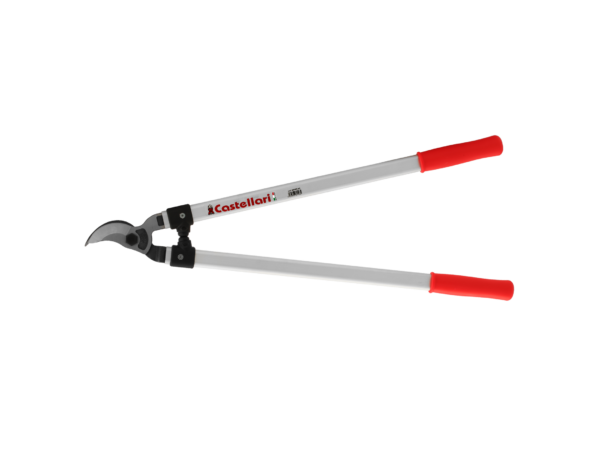 BP80 BP80