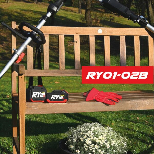 RY01-02B RY01-02B